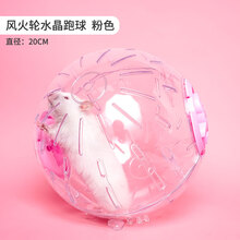 宠尚天仓鼠玩具跑球跑轮滚轮运动球支架金丝熊松鼠用品跑步球滚球 风火轮水晶跑球粉 - 20cm