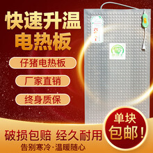 猪博士 仔猪电热板猪用小猪保温板猪场加热板产床发热板取暖设备 不锈钢55*100（1块）