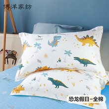 博洋家纺 儿童枕套 纯棉枕芯套学生宿舍卡通全棉枕头套 一对装 恐龙假日 30*50cm