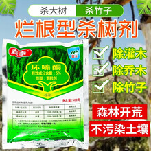 瀚鑫 蓝丰环嗪酮 除草烂根剂杀树王除树剂杀大树烂根杀竹剂灭竹子烂根杂竹净农药除草剂 500g*5袋