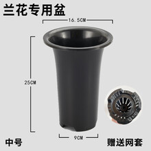 华香园 绿植花卉 兰花专用盆 透气兰花盆 塑料花盆 塑料兰花盆 中号 2个