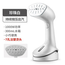 TCL手持挂烫机家用小型蒸汽熨斗便携式小型熨衣服神器宿舍熨烫机 白色