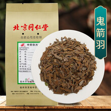 京皖 鬼箭羽 中药饮片 按方抓药 100g