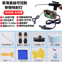 高温高压蒸汽清洁机洗车机商用家用空调厨房油烟机清洗机消毒工具 3000W-家用可控款-过火碱-带照明射灯-黑色