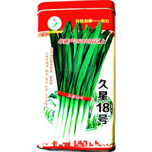 久星18号韭菜种子高产超抗寒抗病农家大田大棚春秋播种精选种 久星18号罐装250克x2罐