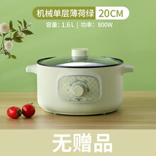 FEDAIR全自动电炖锅家用多功能煮粥神器2人3人快速熬煮粥煲粥稀饭锅 薄荷绿机械版20cm麦饭石 无赠品