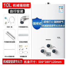 家用天然气12L16L升恒温强排式液化煤气平衡式洗澡燃气热水器 【机械强排款】10升（不包安装） 液化气
