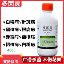 沃德伊诺 多菌菌灵花药多菌灵剂农药兰花多菌炅通用花卉月季果树黑斑病 500g/瓶*1瓶