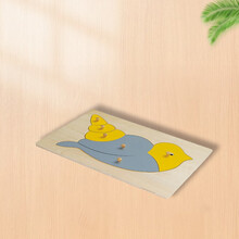 翔宇医疗 认知图形插板(木制图形插板) XY-38