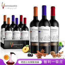 超市	【五家米其林餐厅选用酒庄】冰川酒庄智利原瓶进口葡萄酒 探索者赤霞珠卡麦妮梅洛干型红酒整箱750ml*6支