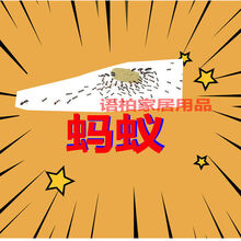 灭蚂蚁药家用室内厨房灭蟑螂药蚂蚁药菜地杀虫剂全窝端 十袋蚂蚁药dh(买的多)