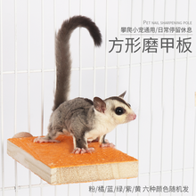 小囧家 蜜袋鼯用品磨指甲松鼠花枝鼠龙猫跳台站杆飞鼠笼内家具玩具磨砂板大眼飞鼠鹦鹉蜜袋鼬磨指甲用品 长13cm宽9cm 颜色随机