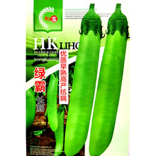 绿霸长茄种子早熟高产抗病农家春秋播种精选茄种 绿霸长茄原装5克x2袋