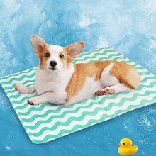 petofstory 宠物冰垫子猫猫窝垫袋 狗狗垫子防水夏季降温降暑猫咪凉垫凉席泰迪中小型犬宠物猫狗窝垫