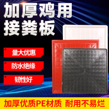 耐尔尼 鸡用接粪板鸡粪托盘养鸡育雏鸡笼用塑料漏粪板 白色70*70
