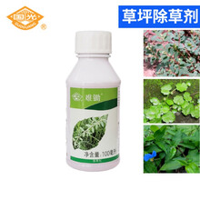 国光难锄 80克/三氯吡氧乙酸丁氧基乙脂 禾本科早熟禾黑麦草坪除蒲公英地锦天胡荽 草坪阔叶杂草除草剂 难锄100毫升*50瓶