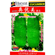 蓟农真优美水果黄瓜种子口感好早熟高产抗病农家大田春秋播种精选 蓟农真优美原装10克x5袋