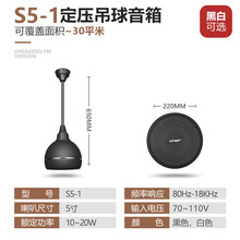 SAST先科吸顶喇叭天花吊顶音响公共广播系统壁挂同轴吊球防水户外音柱嵌入式定压商场店铺背景音乐餐厅 S5-1定压室内吊球【可选黑或白色】