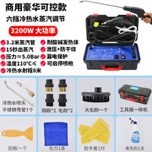 高温高压蒸汽清洁机洗车机商用家用空调厨房油烟机清洗机消毒工具 3200W商用豪华-高压冷热水-六档冷热水蒸汽调节