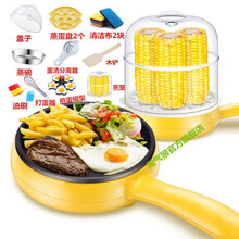 双层蒸蛋器多功能迷你煎蛋锅煎蛋神器煮蛋器家用全自动断电 三色随机 双层送12【加厚礼包】