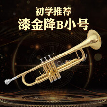 生日礼物美国YZ-36S镀金降B调小号乐器 初学考级三音号西洋演奏级送朋友毕业季礼物定制 初学推荐金色小号