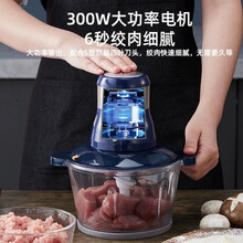 艾美特绞肉机家用不锈钢2L多功家庭料理机小型绞蒜辣椒机 玻璃杯【2升双档】一套刀