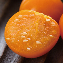 寿禾 姑娘果种子东北灯笼果大果酸甜可口水果蔬菜种籽种孑 寿禾洋姑娘果种子 100粒