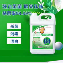 84消毒液家用消毒水宠物地板衣物漂白水去黄渍清异味 10斤大桶【高效款】
