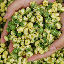 菊花茶茶叶花茶菊花白菊杭胎菊花王可搭枸杞金银花定制 小包装(50)一两 胎菊  初级农产品