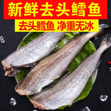 【净重无冰衣】鳕鱼新鲜冷冻无头鱼狭鳕鱼去头明太鱼海鲜深海鱼 花约朵娜 十斤装