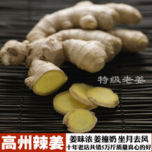 广东茂名高州特产土火姜新鲜坐月子风姜调料老本地辣姜生姜 500g