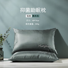 夏季枕头 枕芯一对不塌陷不变形家用酒店双人整头冰丝枕头芯带枕套 青木灰低枕一对