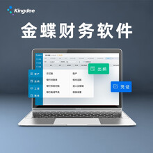 金蝶（kingdee）精斗云云会计V3 金蝶财务软件 小企业会计做账记账软件网络版3帐套6用户
