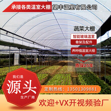 鲸榜蔬菜遮阳大棚全套智能玻璃温室养殖种植双薄膜塑料PC阳光板花房连体联栋椭圆钢管热镀锌骨支架配件设备 玻璃温室