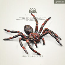 2021新款仿真昆虫模型 儿童玩具动物 蝴蝶蜜蜂蝎子蚱蜢螳螂蜻蜓蜘蛛蜥蜴 狼蛛