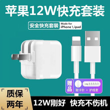 阿哩酷 苹果ipad充电器头12W快充air2/pro/mini5/4/12/11/8手机平板数据线 苹果12W充电头+数据线套装