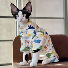 斯芬克斯猫衣服无毛猫衣服斯芬克斯德文柯尼斯阿比冬季薄款婴儿棉线打底内搭 乳白色 S码（3斤左右）不退换