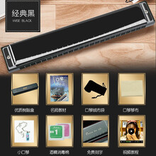 口琴初学者成人儿童学生入门单复音C调24孔演奏级乐器 经典黑 24孔复音c调【消毒棉+绒布袋+教程+小口