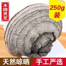 滋真堂 裂蹄灵芝木蹄灵芝长白山林下木蹄灵芝可切片 裂蹄灵芝250g