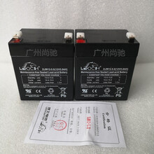科新DC24V 电动卷帘门机12V电瓶交流/直流备电控制器12V5AH蓄电池 12V5AH(二只)