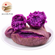 【淅川馆】新鲜紫薯 小紫薯 美味地瓜红薯 新鲜蔬菜 大果带箱10斤装
