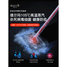 德尔玛蒸汽拖把非无线家用高温清洁机电动蒸气洗地擦地神器 高配版(6块清洁布+2块香薰片)