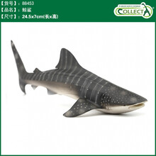 英国CollectA我你他仿真海洋动物模型玩具鲨鱼鲸鱼南北极认知合集 88453鲸鲨
