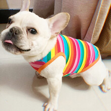 DroolingDog小奶狗夏季宠物狗狗加菲布偶英短蓝猫咪泰迪雪纳瑞博美比熊小型幼犬棉质薄款春秋服饰 彩虹色条纹 XS(大约3-4斤胸围34背长20)