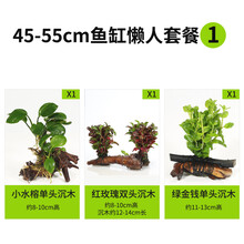 绿伴 鱼缸装饰造景套餐真水草活体沉木后景草缸植物淡水小水榕养鱼懒人 45-55cm鱼缸懒人套餐1