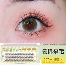 乐哉美妆嫁接睫毛自然 0.07A型仙女毛柔软美睫分段单簇种植假睫毛 0.07 C 8mm