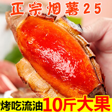 山东烟薯25号糖心蜜薯红薯新鲜10斤烤红薯农家沙地地瓜香山芋 5斤 大果
