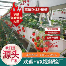 鲸榜空中草莓蔬菜栽培系统多层立体式种植槽管A字架无土水基质智能玻璃育苗温室连体栋大棚鱼菜共生设备配件 鱼菜共生系统