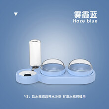 疯狂的小狗 猫碗双碗保护颈椎自动饮水狗狗碗食盆防打翻猫粮猫咪碗狗饭盆用品 小蓝蜗【零食+粮食+水】 收藏加购