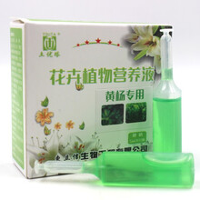 黄杨树专用营养液体肥万年青百日红树桩盆景灌木土培通用微量元素 2盒18元
